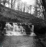 Cotter Gill